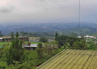 Wisata Kuliner Kuningan